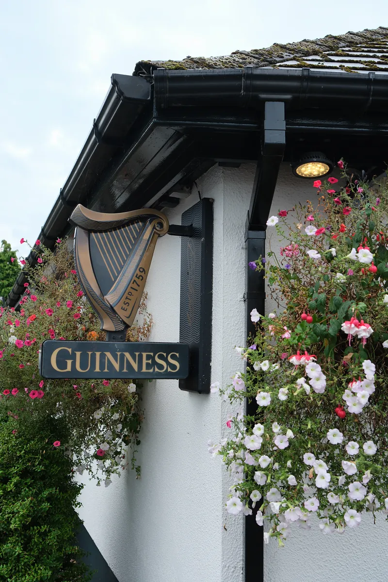 A Guinness harp sign on the white wall, framed by hanging baskets of pink and white flowers